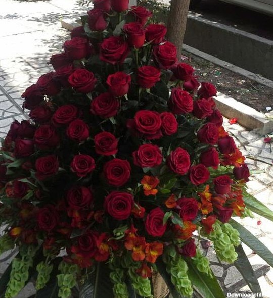 سبد گل رز قرمز بزرگ زیبا برای خواستگاری