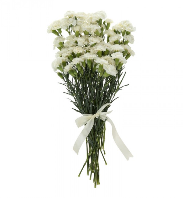 مشخصات، قیمت و خرید گل میخک مینیاتوری سفید دسته 6 عددی | دیجی‌کالا
