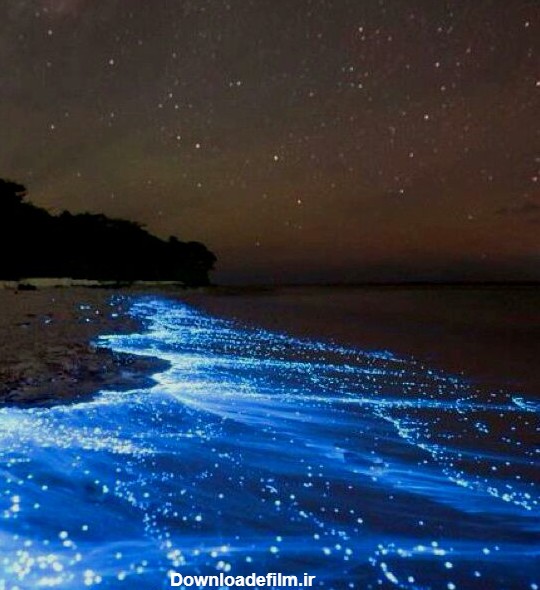 دریای ستاره هاجزیره ی وادهو در مالدیو ساحل بسیار رویایی   - عکس ویسگون