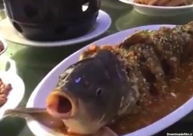 زنده شدن ماهی در ظرف غذای یک چینی + تصاویر - تسنیم