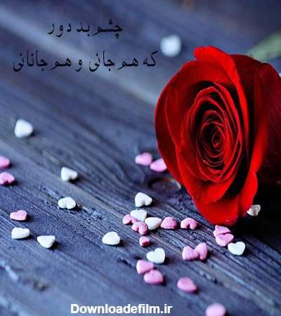 عکس گل زیبا نوشته دار