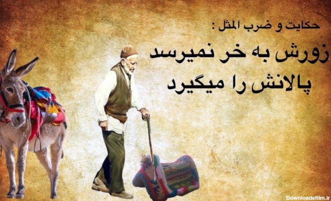 حکایت زورش به خر نمی رسد پالانش را می گیرد!