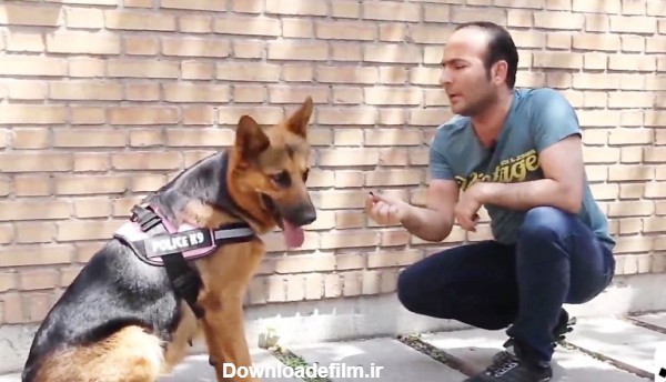 حسن ریوندی در کنار تیدا باهوش ترین سگ ایران