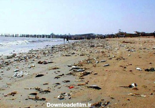 تفاوت ساحل دریای خزر در ایران و روسیه + عکس