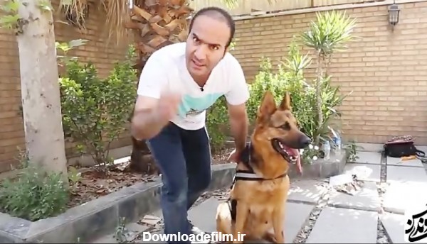 حسن ریوندی - تست باهوش ترین سگ ایران تیدا خانم