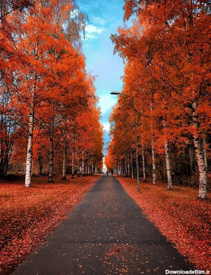 خبرگزاری آريا - تصاویر زیبای پاییز در سراسر جهان