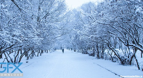 30 عکس زمستان زیبا❄️دانلود عکس زمستان برفی با کیفیت بالا