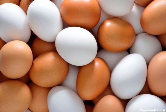 قیمت عجیب و غریب تخم مرغ در بازار / شانه 20 عددی 110 هزار تومان ناقابل !