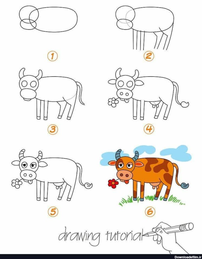 آموزش مرحله به مرحله نقاشی گاو