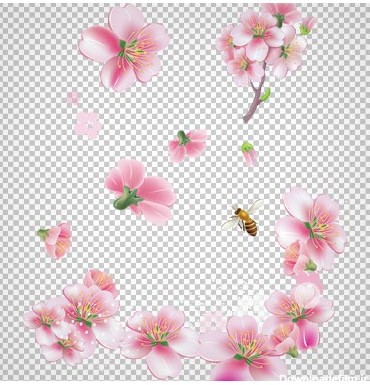 دانلود فایل png شکوفه های بهاری صورتی رنگ و زنبورهای عسل