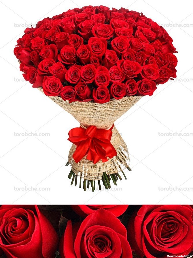 خرید و قیمت عکس دسته گل عروس رز قرمز با کیفیت عالی | ترب