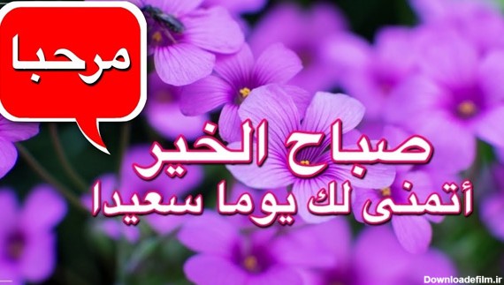 صبح بخیر به عربی با متن و جملات زیبا (رسمی، دوستانه و ...