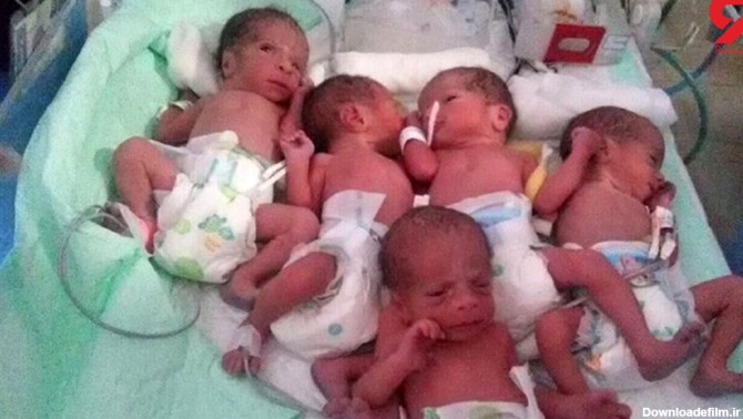 مرگ تلخ ۳ نوزاد از ۵ قلوهای تازه متولد شده لنگرود + عکس