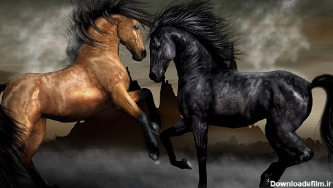 برنامه Horse Live Wallpaper - دانلود | بازار