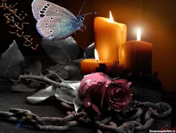 شمع،گل،پروانه