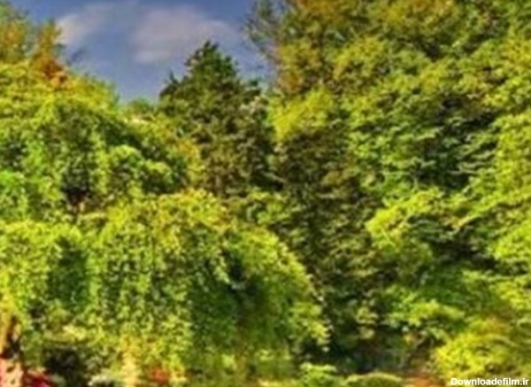 عکس/منظره ی زیبا از خانه چوبی و باغ رویایی در کشور هلند