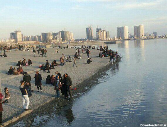 اینجا تهران؛ بر ساحل خلیج فارس قدم بزنید | خبرگزاری فارس