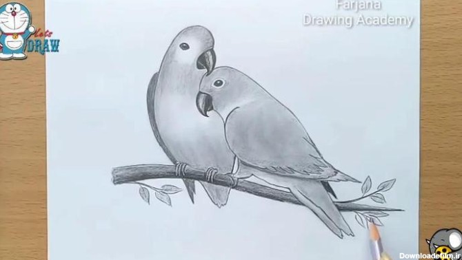 آموزش نقاشی دو طوطی عاشق - فیلو