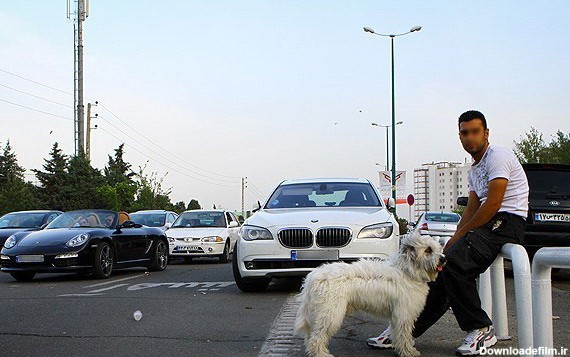 فرارو | (تصاویر)خودروهای فوق لوکس عبورموقت در تهران