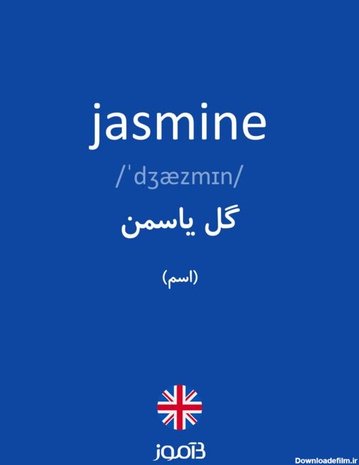 ترجمه کلمه jasmine به فارسی | دیکشنری انگلیسی بیاموز