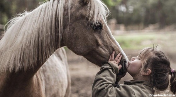 عکس دختر بچه با اسب برای پروفایل