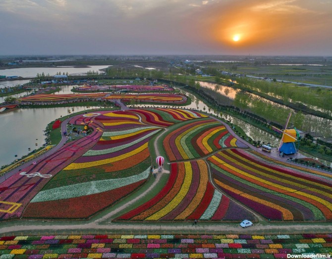 عکس | ۳۰ میلیون گل لاله در یک قاب - خبرآنلاین