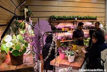 غرفه فروش نورهای مصنوعی  مخصوص رشد گیاهان
