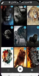 lion fantasy wallpaper for Android - Download | Cafe Bazaar