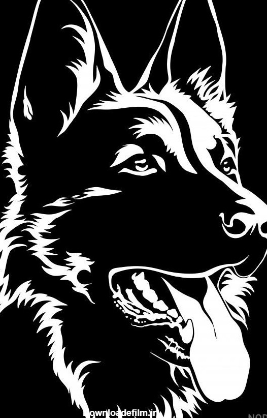 عکس سگ ژرمن سیاه سفید - عکس نودی