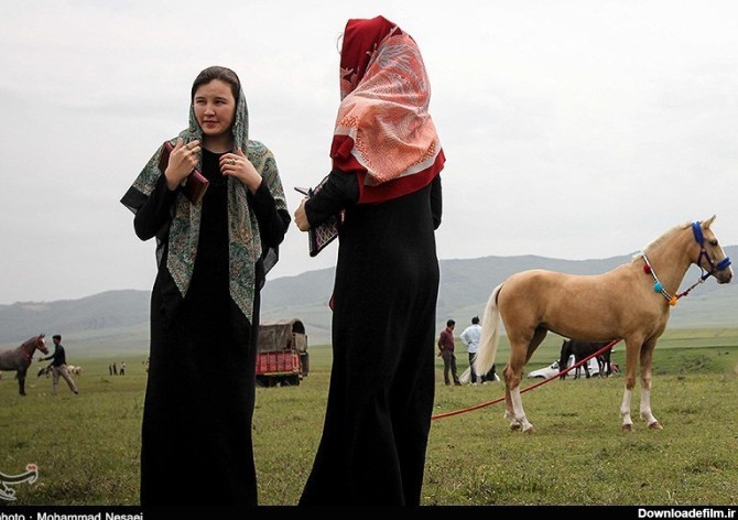 جشنواره زیبای اسب اصیل ترکمن - گلستان- عکس خبری تسنیم | Tasnim
