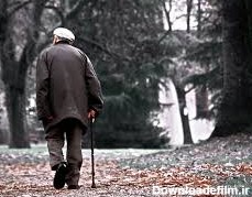 پیرمرد تنهای خوشحال - ویرگول