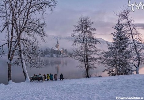 دریاچه Bled در یک صبح زمستانی رویایی! (+عکس) - پایگاه خبری ...