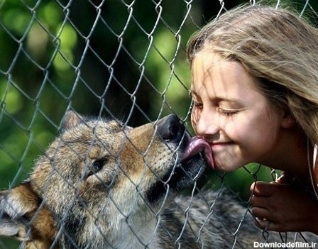 رابطه عجیب دختر 10 ساله با گرگ ها ! (+عکس)