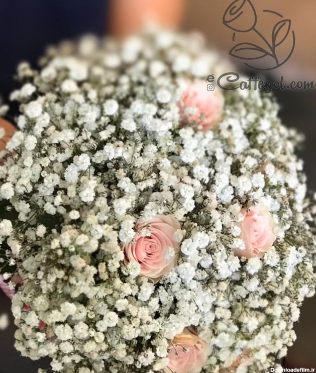 دسته گل عروس ژیپسوفیلا و رز مینیاتوری - فروشگاه آنلاین گل و گیاه ...
