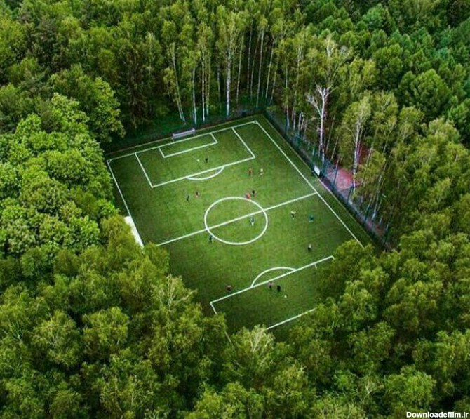زمین چمن رویایی در جنگل های مسکو + عکس