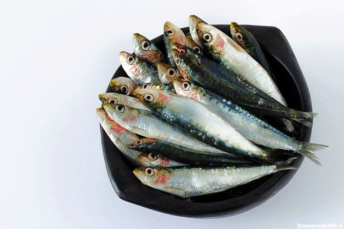 خواص بسیار عالی ماهی ساردین و مزایای شگفت انگیر مصرف ساردین
