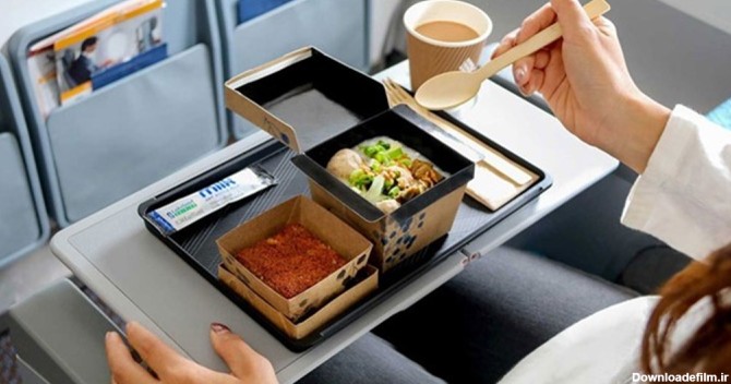 راهنمای کامل غذای هواپیما؛ منوی غذای هواپیما + عکس - اسنپ