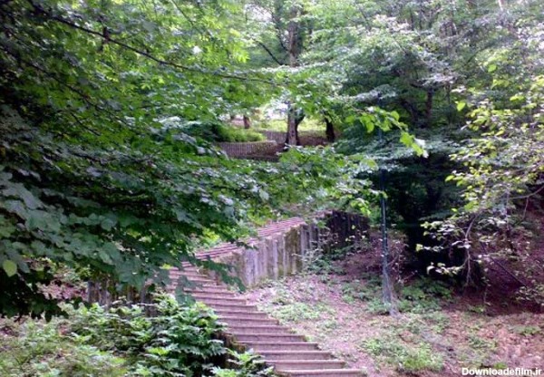 مسیر پلکانی داخل پارک جنگلی کشپل