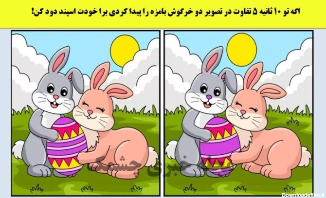 اگه تو 10 ثانیه 5 تفاوت در تصویر دو خرگوش بامزه را پیدا کردی برا ...