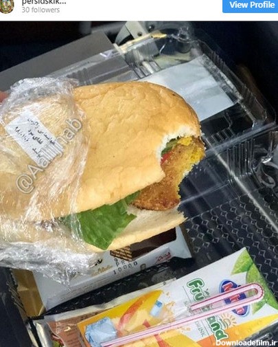 وعده غذایی فلافل در هواپیمای ایرانی/ عکس - خبرآنلاین