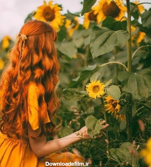 ۳۰ عکس گل آفتابگردان برای پروفایل شبکه های اجتماعی مختلف