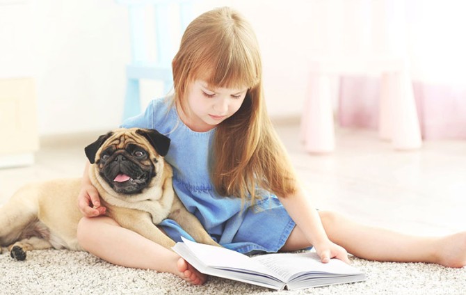 واق واق کردن سگ پاگ بغل دختر بچه در حال خواندن کتاب
