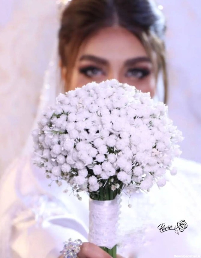عکس گل عروس رنگی