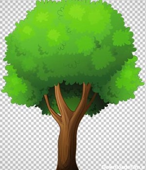 درخت پر شاخ و برگ جنگلی به صورت ترانسپرنت با پسوند png
