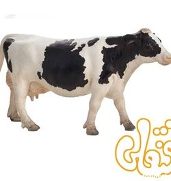 خرید و قیمت گاو شیرده سفید و سیاه هلشتاین Holstein Cow 387062 | ترب