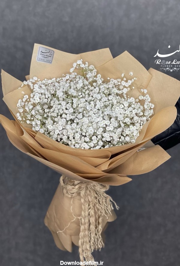 دسته گل ژیپسوفیلیا (عروس هلندی) – رزلند