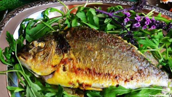 ماهی شوریده شکم پر در فر - طرز تهیه ماهی شوریده شکم پر | ماهی خان