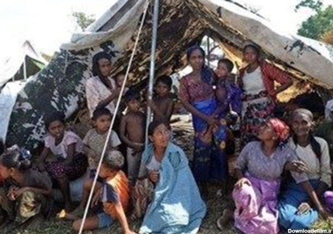 کتایون ریاحی: وضعیت مسلمانان میانمار اسف بار است - تسنیم