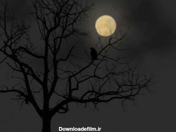 عکس شب و مهتاب - عکس نودی