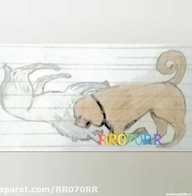 طراحی و نقاشی سگ